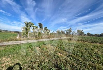 Teren extravilan  3.942 mp de vanzare - Talmaciu, jud. Sibiu - 5