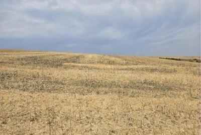 Teren Negureni, cota parte 1/8, ID: R2695094 - 9