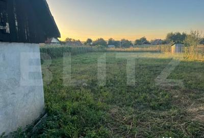 Casă cu 2 camere cu Teren 1414 Mp în Criș - 4