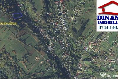 Teren de 3600 mp, în Alexandru cel Bun - 4