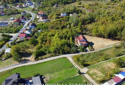 Teren de 1522 mp, în Vlădești - 13