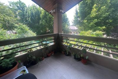 ANDRONACHE | Vila 4 Camere | Garaj | Curte Verde | Ciubar & BBQ - 15