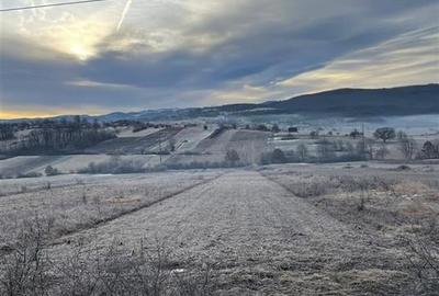 RECO teren Vadu Crisului - 1