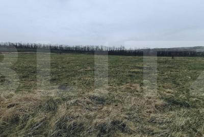 Teren de 750 mp, în Sopor - 1