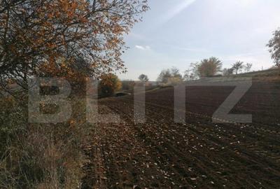 Teren de 5000 mp, în Central