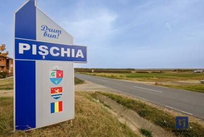 Teren Construcții extravilan de 19000 mp, în Pișchia - 1