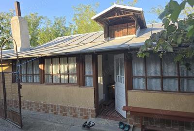 Casă cu 5 camere în Brăgăreasa - 8