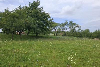 Spațiu comercial, în Feleacu - 2