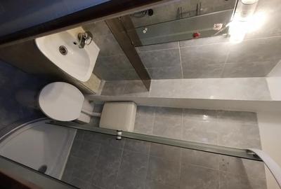 Garsonieră nedecomandată în Aradului - 3