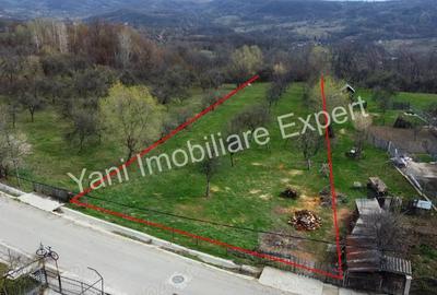 Teren în Borovinești - 4