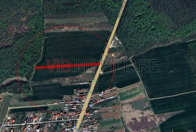 Teren intravilan de 4676 mp, în Ciolpani - 2