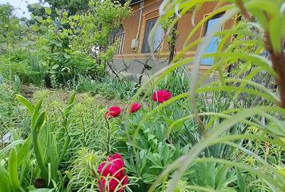 Casa, com. Ileana, Calara?i - 5