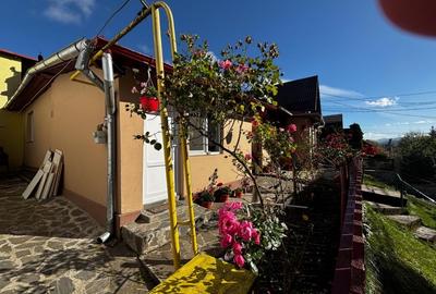 Busteni Casa de vacanta sau locuinta permanenta in Busteni, cartier Zamora- zona A - 12
