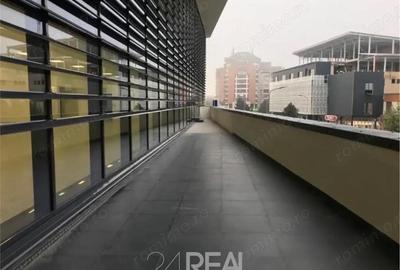 Spațiu comercial, în Tolstoi - 2
