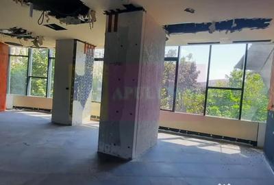 Spațiu comercial, de 226 mp, în Unirii - 4