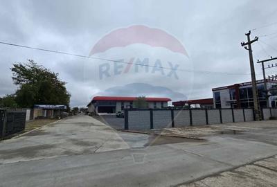 DE VANZARE Hala productie/depozitare - 22