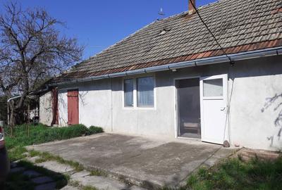 Casă cu 2 camere în Sintea Mare - 4