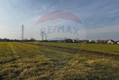 Teren 4,000mp Balotesti / Strada Rozelor - 5