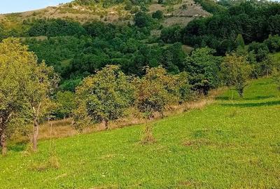 Spațiu comercial, în Peteritea - 3