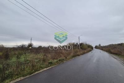 Teren cu PUZ si Autorizatie - OTOPENI - 5