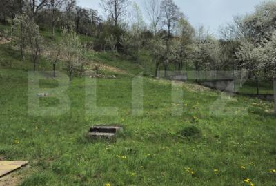 Casă cu 5 camere cu Teren 3000 Mp în Runcu - 12