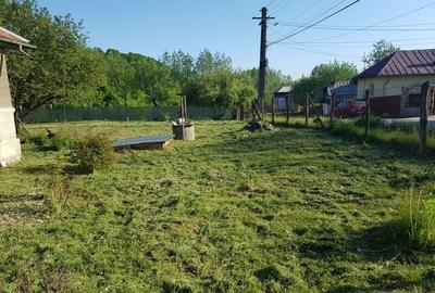 Casă individuală cu 3 camere cu Teren 3365 Mp în Bughea de Jos - 2