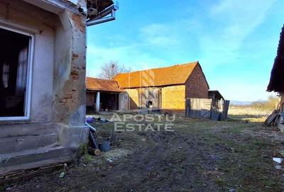 Casa de caramida in Tela si Teren Generos de 4320 mp - 19