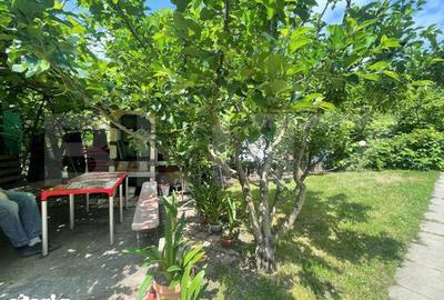 Casă cu 3 camere decomandat cu Teren 170 Mp în Grigorescu - 7
