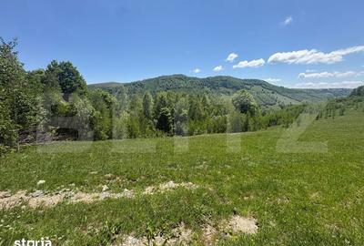 Teren de 1000 mp, în Băișoara
