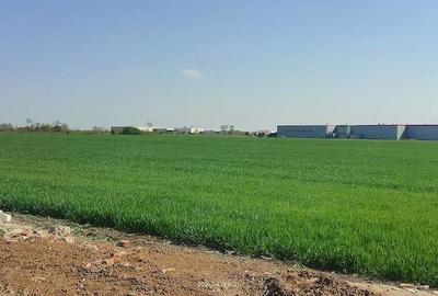 Teren de 2000 mp, în Aradului - 2