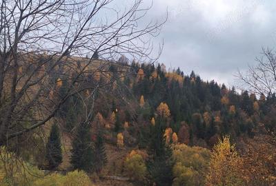 Teren în Fericet - 1