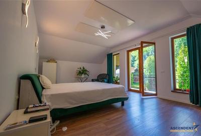 Refined ensemble, elite natural setting, 5 km from Corvin Castle. - 6