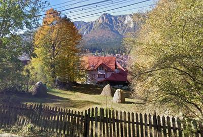 Teren intavilan de vanzare in Busteni, zona Zamora (oportunitate) - 1