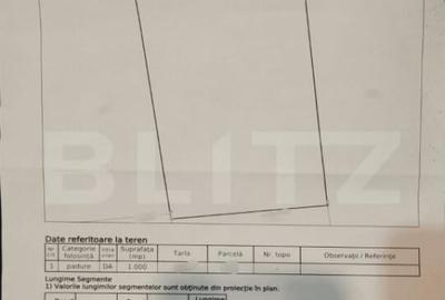 INVESTI?IE PADINA: 1000mp Intravilan in Parcul Natural Buc - 4