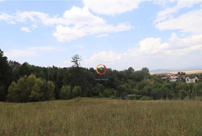 Teren intravilan cu PUZ si PUD 2 loturi - 2