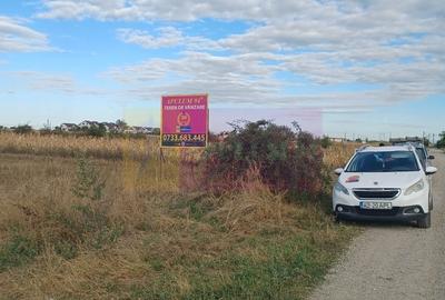 Gulia teren 11.157 mp, langa Padurea Cereanca - 2