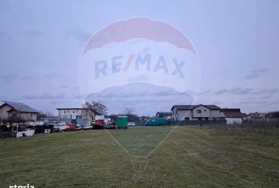 Spațiu comercial, în Alexandriei - 5