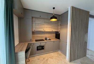 Apartament cu 3 camere decomandat, mobilat în Parcul Carol - 4