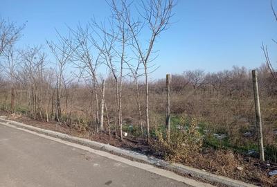 Teren de 500 mp, în Central - 3