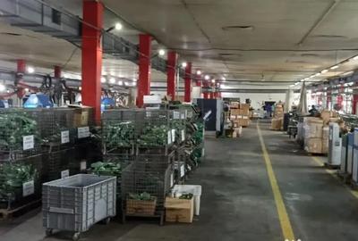 Apartament în Central - 15