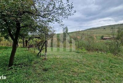 Casă cu 3 camere în Galda de Jos - 4