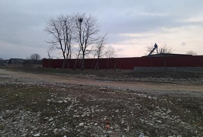 Teren constructii Carpinis Brasov - 6