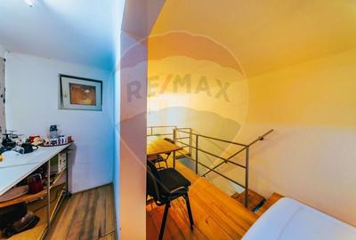 Studio spectaculos pe 2 niveluri in Palatul Neumann, exclusiv - 5