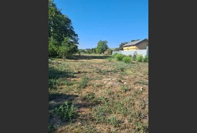 Teren Intravilan pentru Constructii Teren Intravilan pentru Constructii - 2