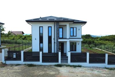 Casă cu 4 camere în Vișan - 7