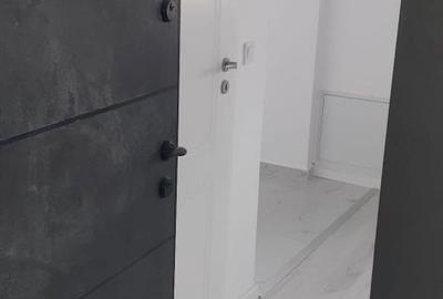 Garsonieră nedecomandată în Vișan - 8