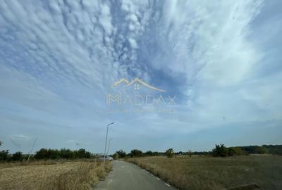 Teren Construcții intravilan de 15000 mp, în Snagov - 4