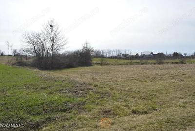 Suseni - Teren intravilan rezidential, suprafata 4000 mp Suseni - Teren intravilan rezidential, suprafata 4000 mp - 3