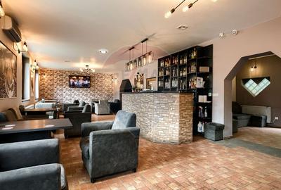 Spatiu comercial cu destinatie actuala Bar si jocuri noroc- Vlaicu - 2
