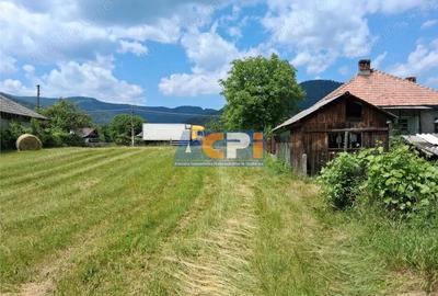 Doua loturi teren plat, Stejaru, DN 15, cu iesire la raul Bistrita - 4